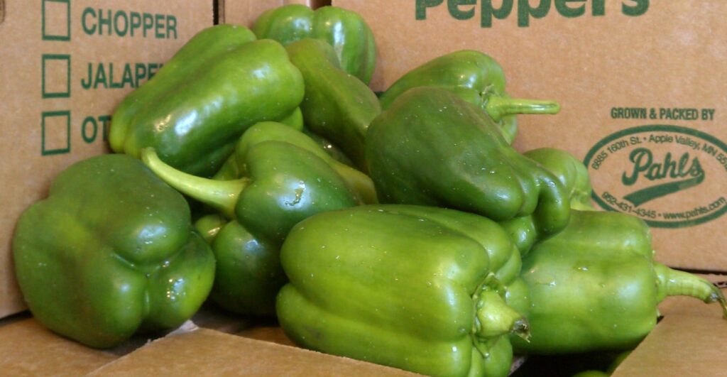 Green Bell Peppers