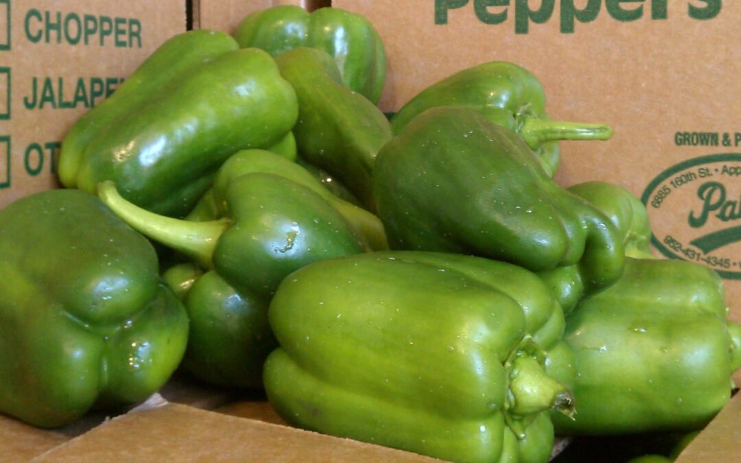 Green Bell Peppers