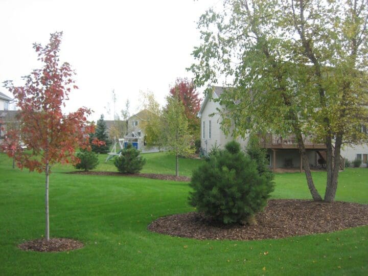 Back Yard Landscape Berms and Tree Rings in Apple Valley - Pahl's ...