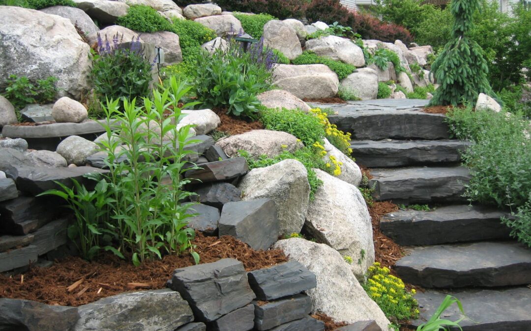 Hillside Landscaping