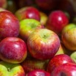 Cortland or Harelson Apples