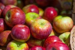 Honeycrisp or Cortland Apples - Pahl's Market - Apple Valley, MN
