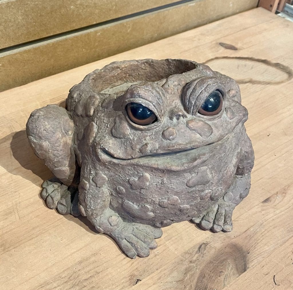 Toad Planter - Pahl's Market - Apple Valley, MN