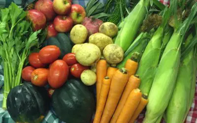 Pahl Farms CSA Program