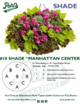 Moss Basket Mix #10 - Manhattan Center (Shade) - Patio Pot