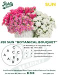 Moss Basket Mix #20 - Botanical Bouquet (Sun) - Patio Pot