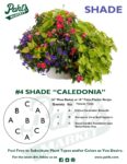 Moss Basket Mix #4 - Caledonia (Shade) - Patio Pot