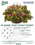 Moss Basket Mix #5 - East Coast Swing (Shade) - Patio Pot