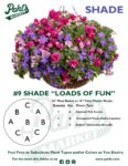 Moss Basket Mix #9 - Loads Of Fun (Shade) - Patio Pot