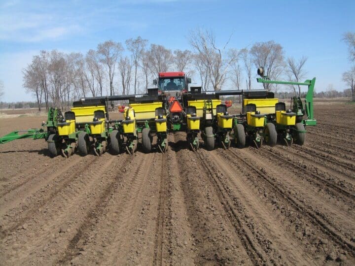 Pahl S First Of The Year Sweet Corn Just Planted Pahl S Market